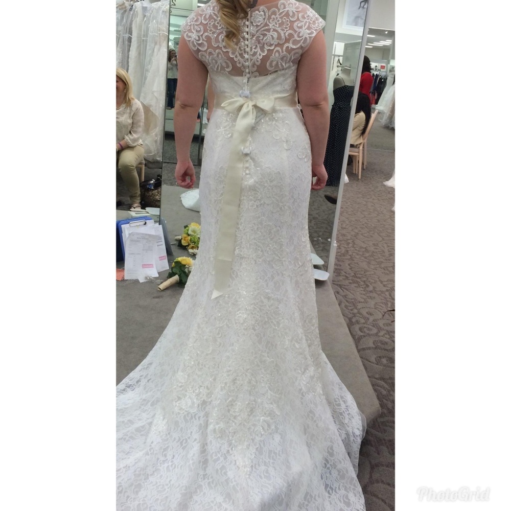 Ivory David's Bridal wedding dress NWT